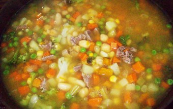 Sopa-campeira