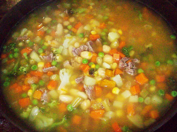 Sopa-campeira