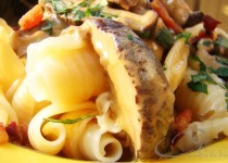 Castellane com Funghi Secchi