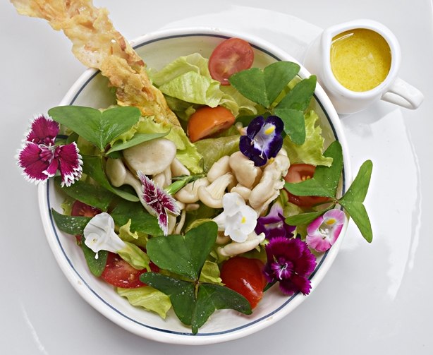 Salada de Trevinho