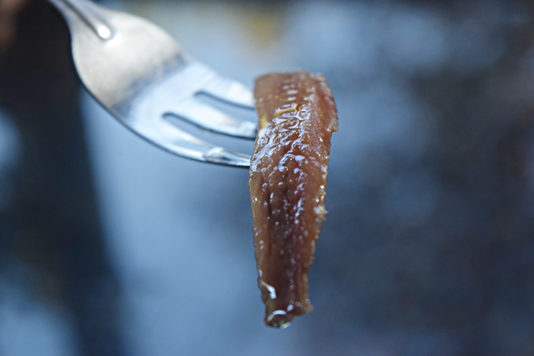 anchova-1