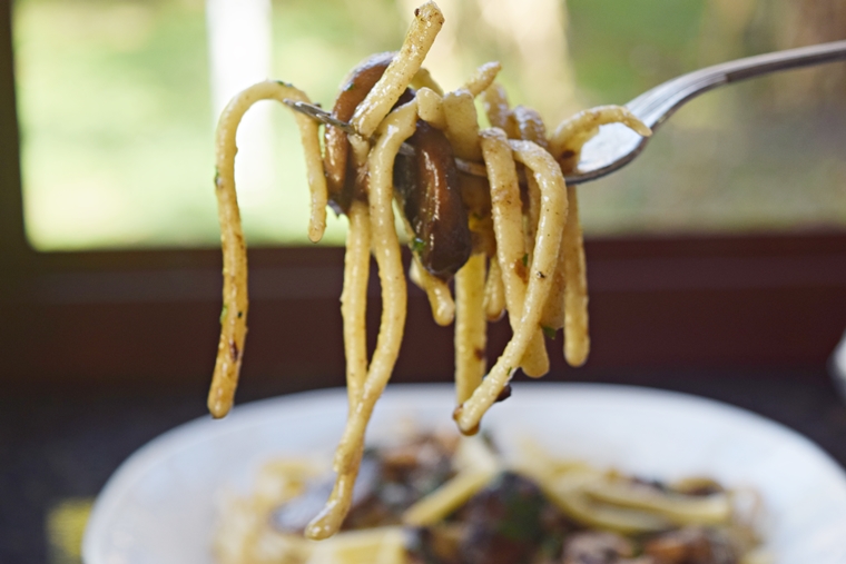 spatzle-com-cogumelos-1